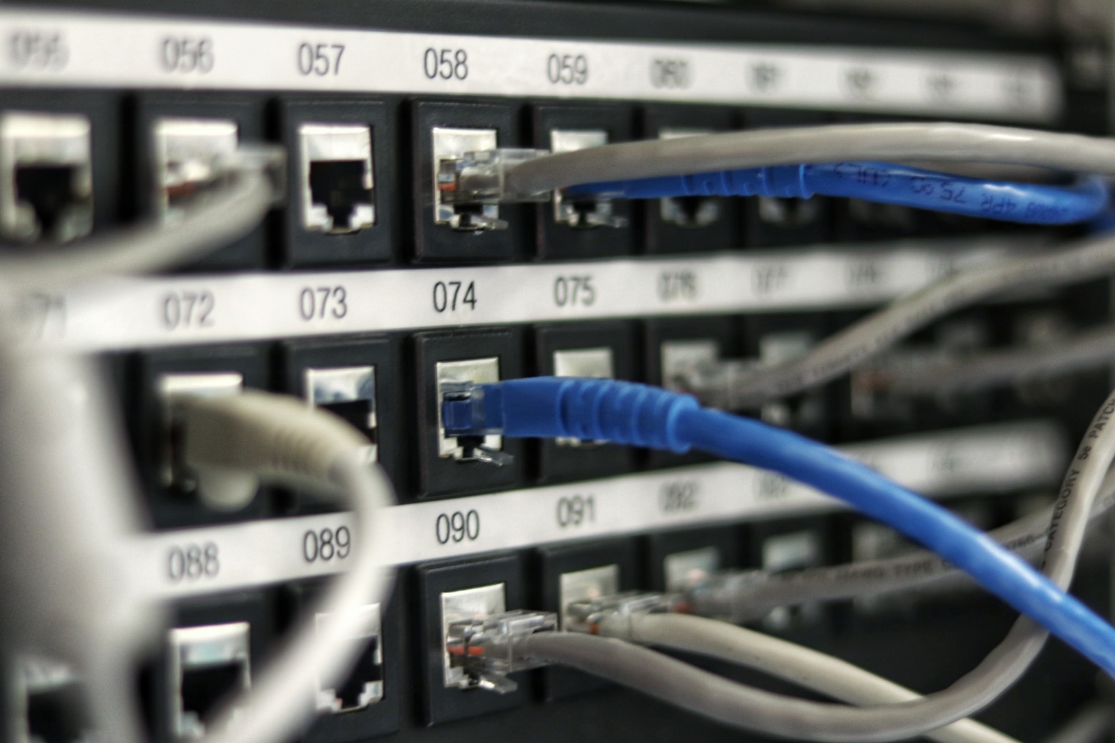 Photo by Jordan Harrison blue UTP cord